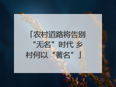 农村道路将告别“无名”时代 乡村何以“著名”