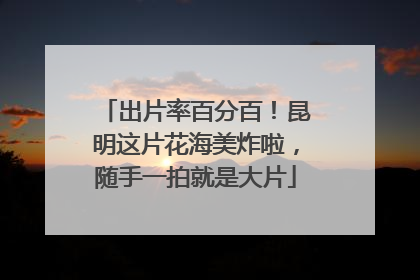 出片率百分百！昆明这片花海美炸啦，随手一拍就是大片