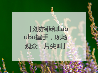 刘亦菲和Labubu握手，现场观众一片尖叫