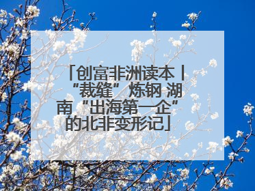 创富非洲读本丨“裁缝”炼钢 湖南“出海第一企”的北非变形记