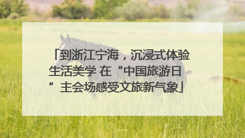 到浙江宁海，沉浸式体验生活美学 在“中国旅游日”主会场感受文旅新气象