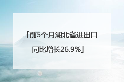 前5个月湖北省进出口同比增长26.9%