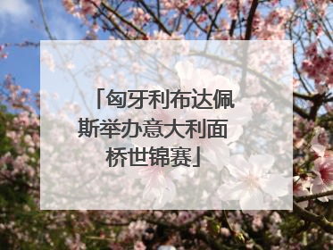 匈牙利布达佩斯举办意大利面桥世锦赛