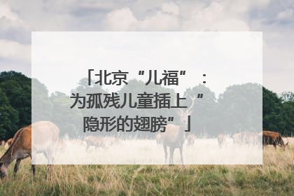 北京“儿福”：为孤残儿童插上“隐形的翅膀”