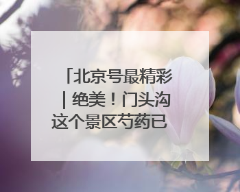 北京号最精彩｜绝美！门头沟这个景区芍药已花开成海