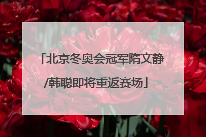 北京冬奥会冠军隋文静/韩聪即将重返赛场
