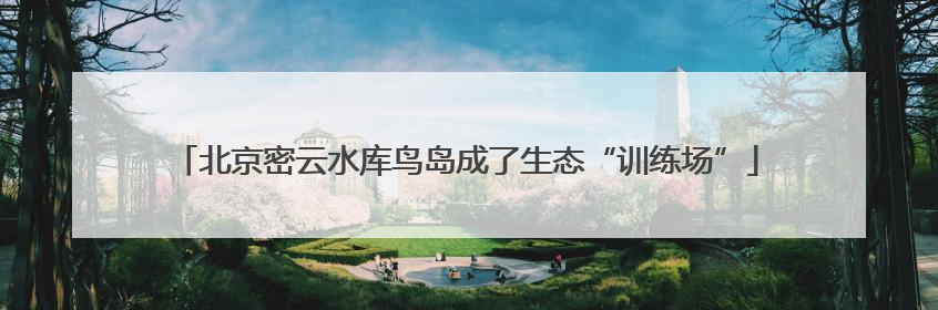 北京密云水库鸟岛成了生态“训练场”
