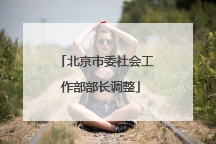 北京市委社会工作部部长调整
