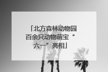北方森林动物园百余只动物萌宝“六一”亮相