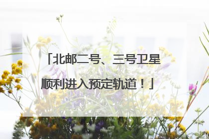 北邮二号、三号卫星顺利进入预定轨道！