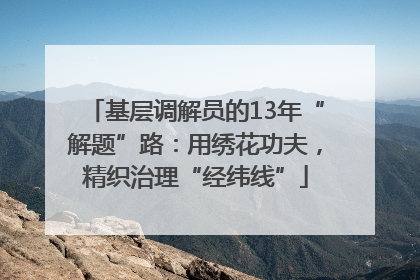 基层调解员的13年“解题”路：用绣花功夫，精织治理“经纬线”