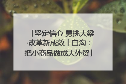坚定信心 勇挑大梁·改革新成效丨白沟：把小商品做成大外贸