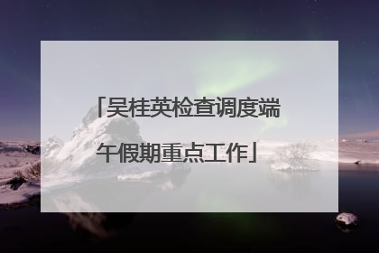 吴桂英检查调度端午假期重点工作