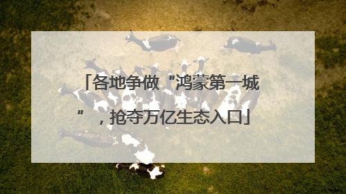 各地争做“鸿蒙第一城”，抢夺万亿生态入口