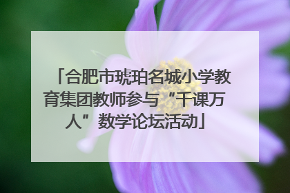 合肥市琥珀名城小学教育集团教师参与“千课万人”数学论坛活动
