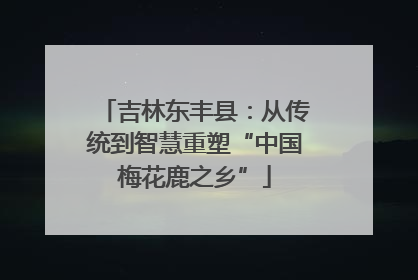 吉林东丰县：从传统到智慧重塑“中国梅花鹿之乡”