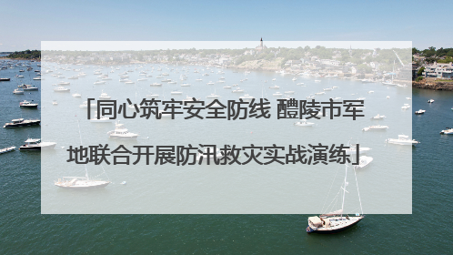 同心筑牢安全防线 醴陵市军地联合开展防汛救灾实战演练