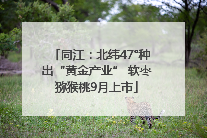 同江：北纬47°种出“黄金产业” 软枣猕猴桃9月上市
