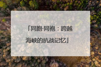同胞·同袍：跨越海峡的抗战记忆