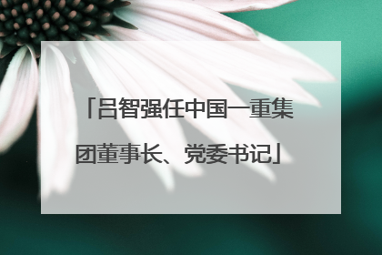 吕智强任中国一重集团董事长、党委书记