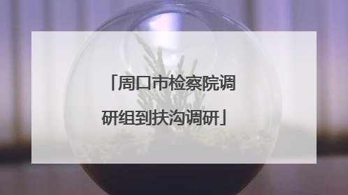 周口市检察院调研组到扶沟调研