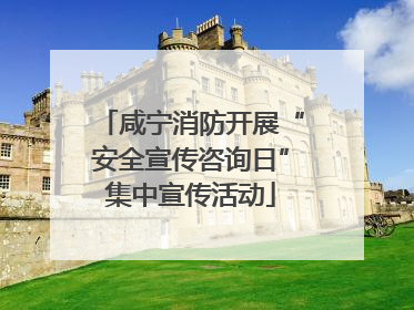 咸宁消防开展“安全宣传咨询日”集中宣传活动