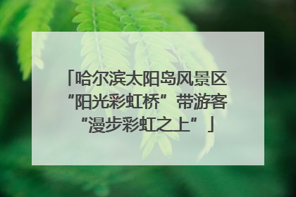 哈尔滨太阳岛风景区“阳光彩虹桥”带游客“漫步彩虹之上”