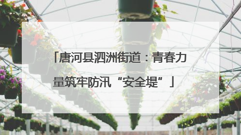 唐河县泗洲街道：青春力量筑牢防汛“安全堤”