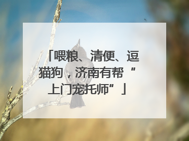 喂粮、清便、逗猫狗，济南有帮“上门宠托师”