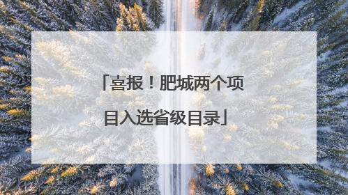 喜报！肥城两个项目入选省级目录