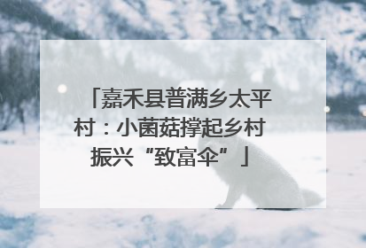 嘉禾县普满乡太平村：小菌菇撑起乡村振兴“致富伞”