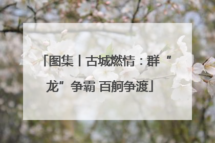 图集丨古城燃情：群“龙”争霸 百舸争渡