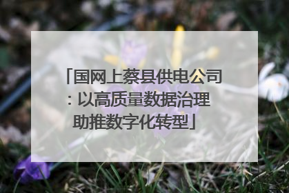 国网上蔡县供电公司：以高质量数据治理 助推数字化转型
