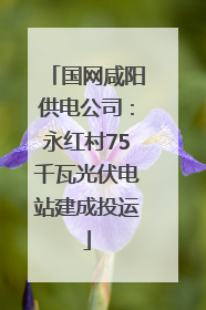 国网咸阳供电公司：永红村75千瓦光伏电站建成投运