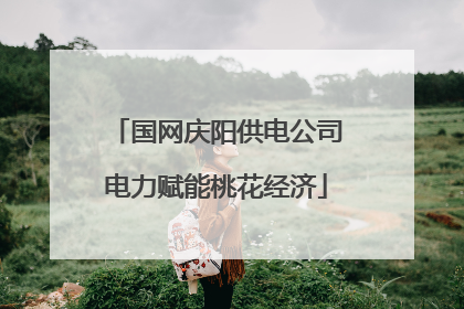 国网庆阳供电公司电力赋能桃花经济