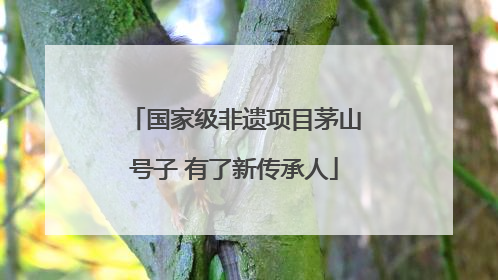 国家级非遗项目茅山号子 有了新传承人