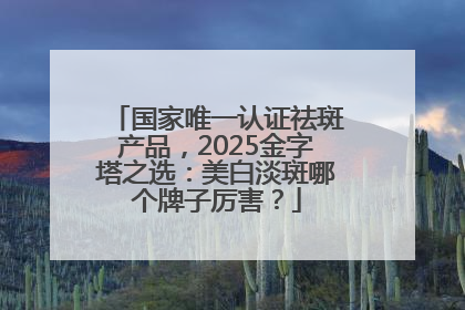 国家唯一认证祛斑产品，2025金字塔之选：美白淡斑哪个牌子厉害？