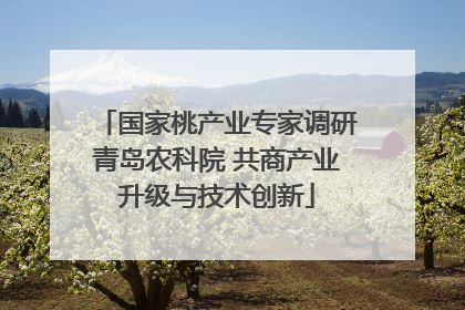 国家桃产业专家调研青岛农科院 共商产业升级与技术创新