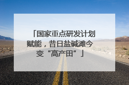 国家重点研发计划赋能，昔日盐碱滩今变“高产田”