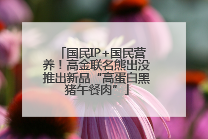 国民IP+国民营养！高金联名熊出没推出新品“高蛋白黑猪午餐肉”