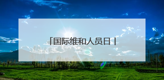 国际维和人员日丨走近海外维和一线 致敬中国“蓝盔”