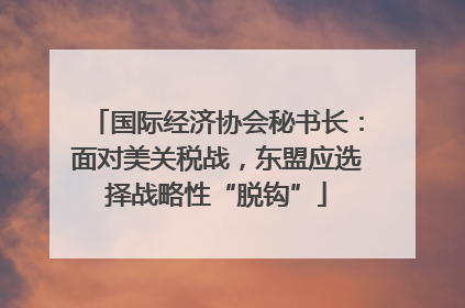 国际经济协会秘书长：面对美关税战，东盟应选择战略性“脱钩”