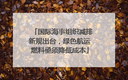 国际海事组织减排新规出台，绿色航运燃料亟须降低成本