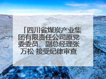 四川省煤炭产业集团有限责任公司原党委委员、副总经理张万松 接受纪律审查和监察调查