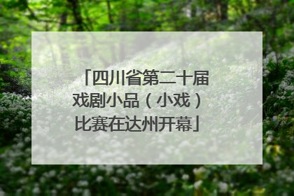 四川省第二十届戏剧小品（小戏）比赛在达州开幕