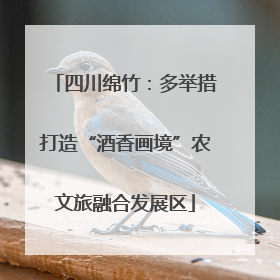 四川绵竹：多举措打造“酒香画境”农文旅融合发展区