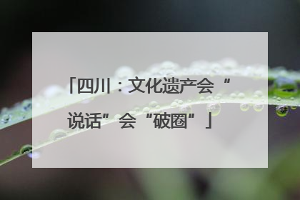 四川：文化遗产会“说话”会“破圈”