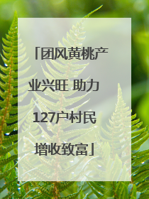 团风黄桃产业兴旺 助力127户村民增收致富