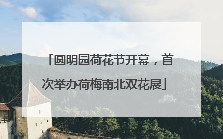 圆明园荷花节开幕，首次举办荷梅南北双花展