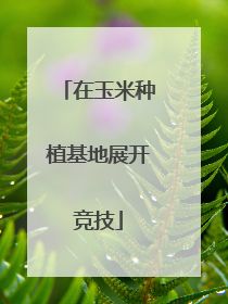 在玉米种植基地展开竞技